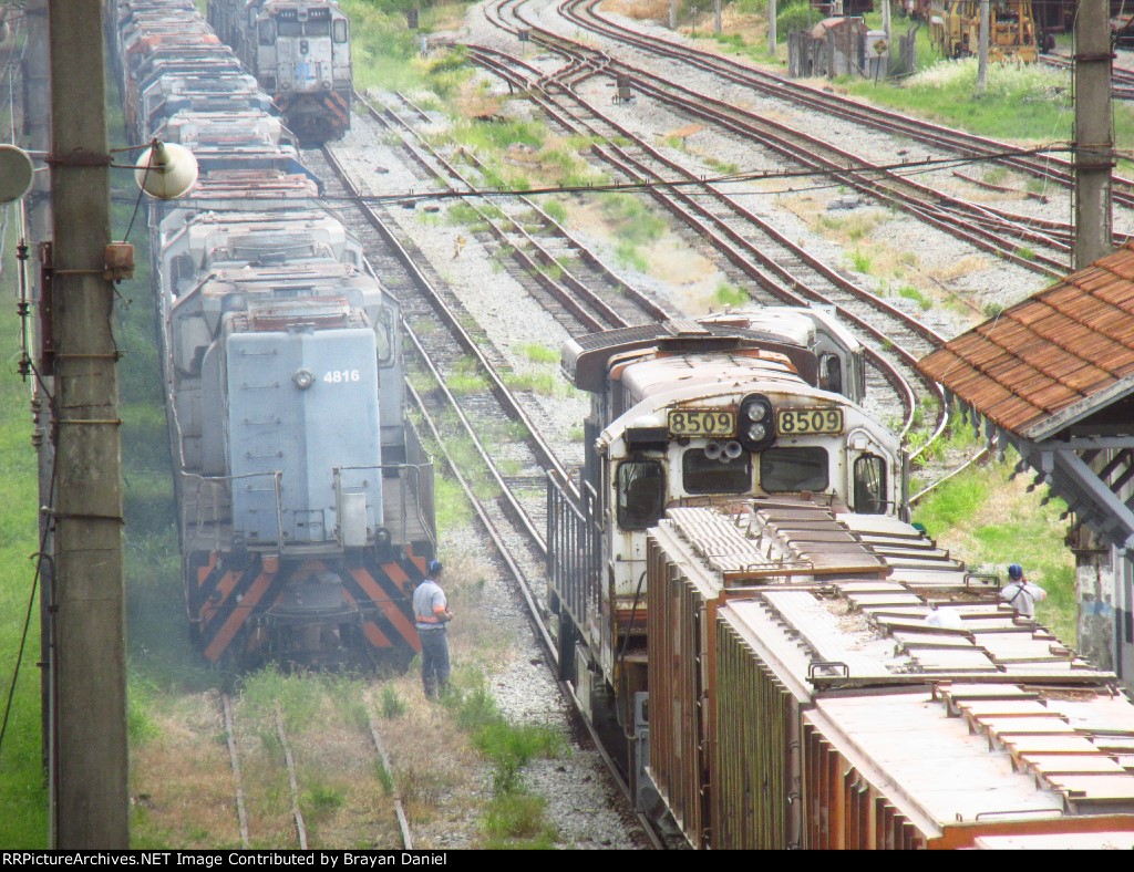 VLI 4816